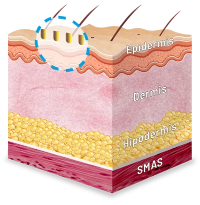 Centros Carmen Sarmiento Nature Antiage III