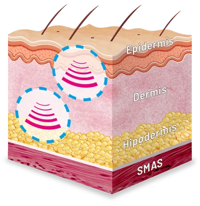 Centros Carmen Sarmiento Nature Antiage III
