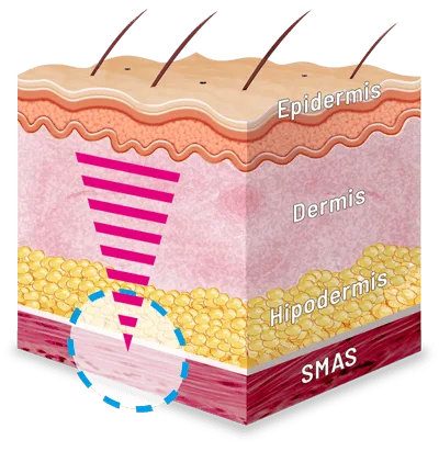 Centros Carmen Sarmiento Nature Antiage III