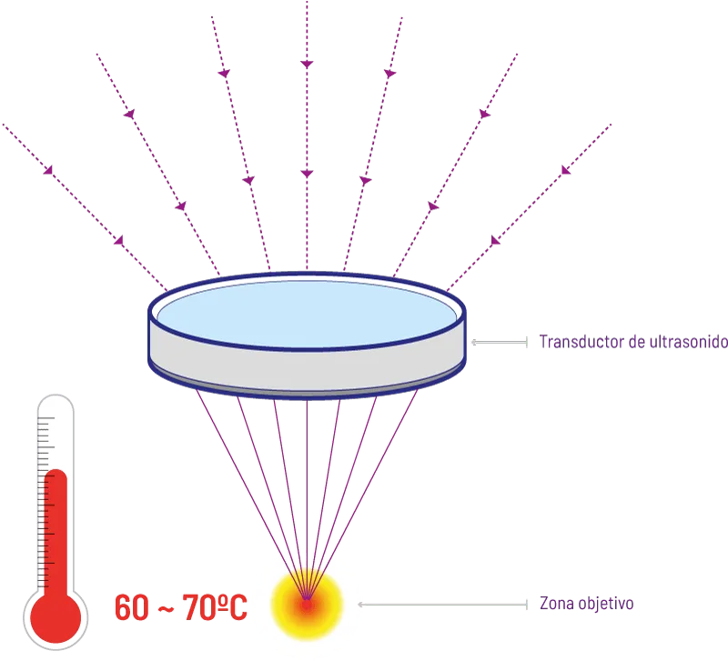 carmen sarmiento nature antiage ifu