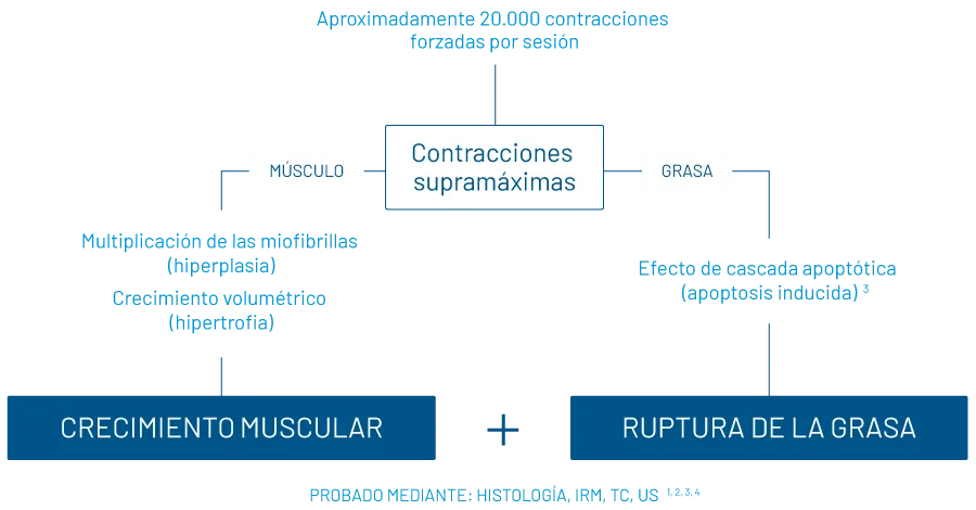 EMSculpt ® la más avanzada tecnología para remodelar tu figura. Carmen Sarmiento, único Centro en Sevilla con EMSculpt ®. EMSculpt ® la más avanzada tecnología para remodelar tu figura. Carmen Sarmiento, único Centro en Sevilla con EMSculpt ®.
