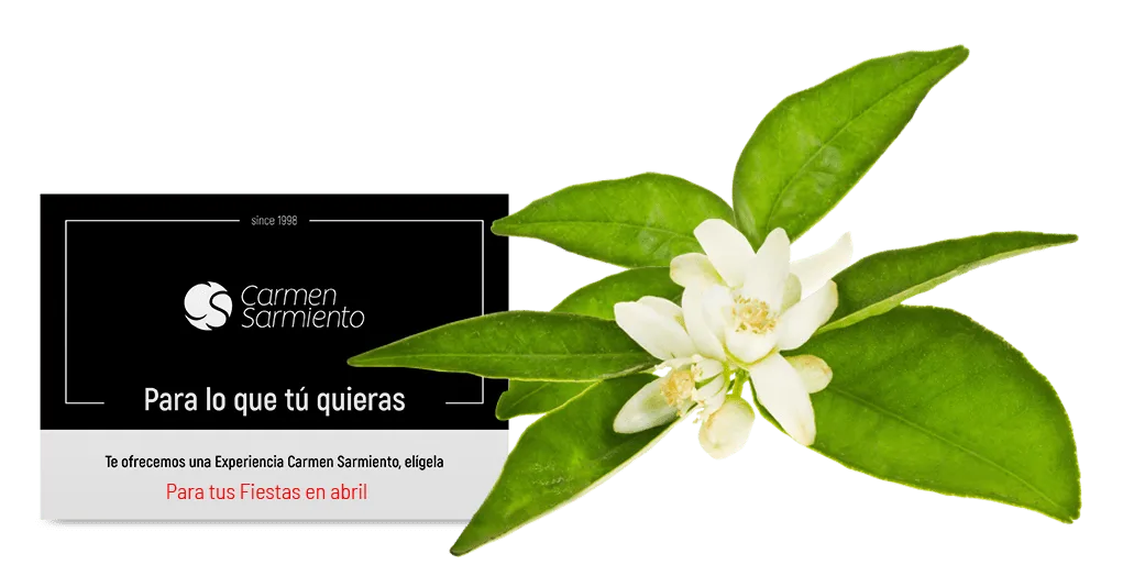centros-carmen-sarmiento-tarjeta-regalo-para-lo-que-tu-quieras-fiestas-de-abril Centro de Medicina Estética Carmen Sarmiento. Belleza facial y corporal. Primer Centro Oficial Coolsculpting de Sevilla. EMSculpt. Exilis Elite Ultra Femme.