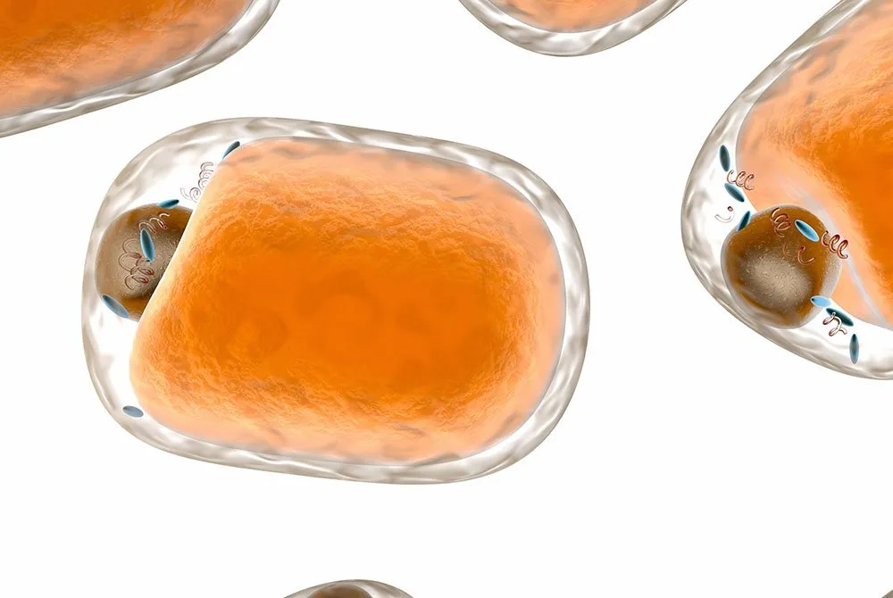 Adiós a los "banana rolls" con el nº1 Coolsculpting en Carmen Sarmiento, en su centro de Medicina Estética de Marqués de Paradas, en Sevilla.