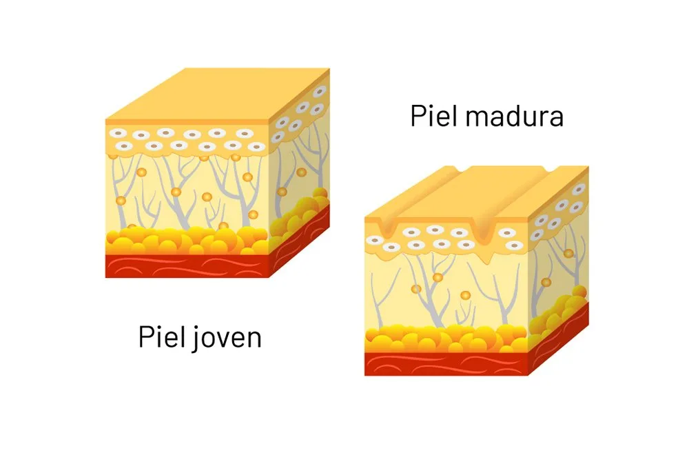Elimina la flacidez en las piernas con tratamientos no invasivos en Carmen Sarmiento