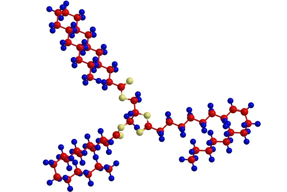 Como eliminar grasa de las rodillas en 2022