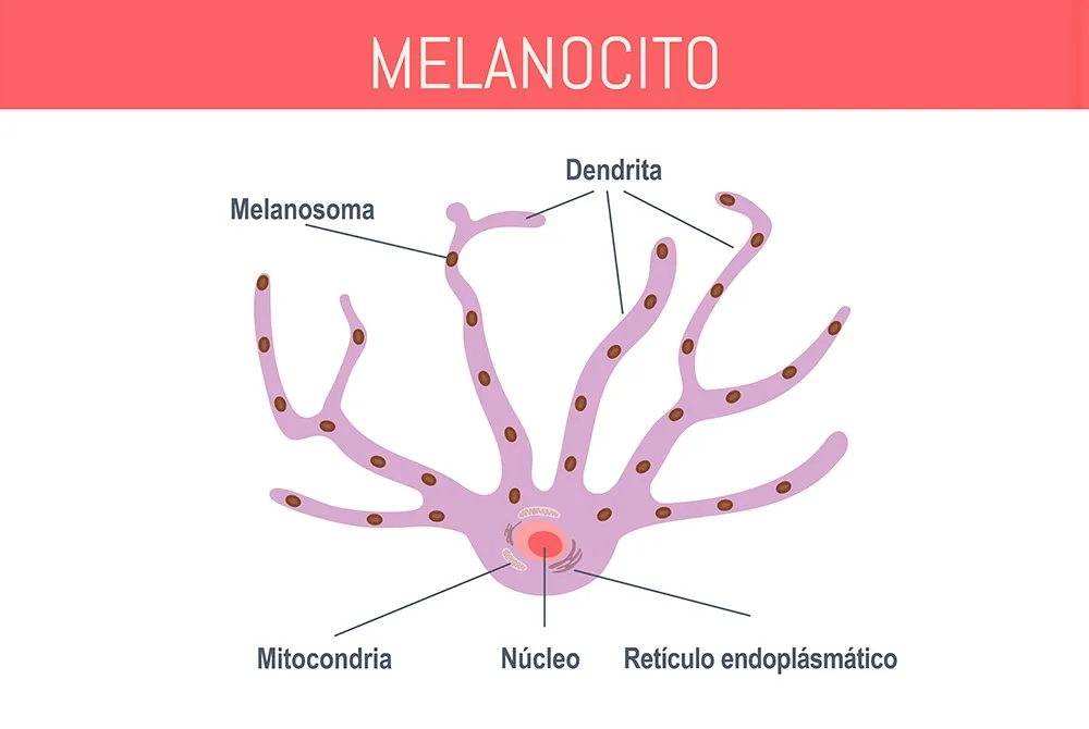 blog-centros-carmen-sarmiento-melasma-07 Elimina las manchas del escote tras el verano en Carmen Sarmiento