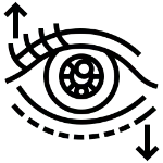 Parpados
