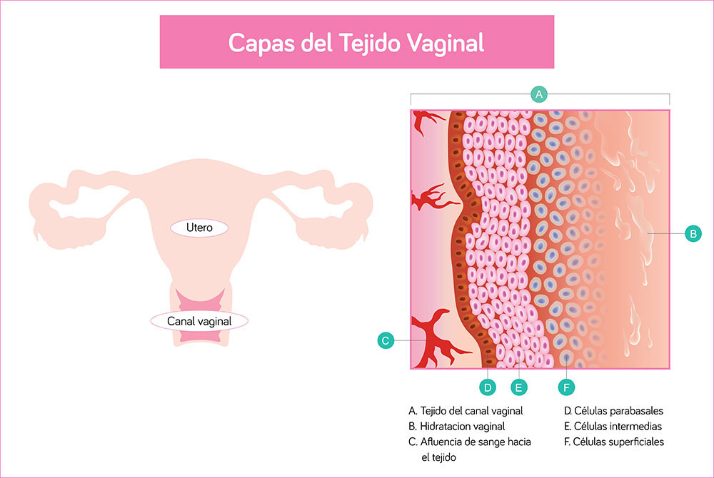 Rejuvenecimiento vaginal