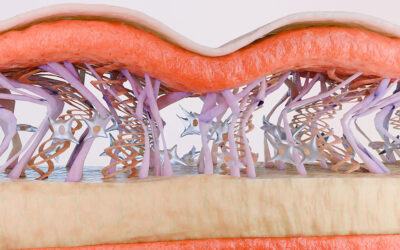 Bioestimuladores de colágeno innovador avance en rejuvenecimiento facial