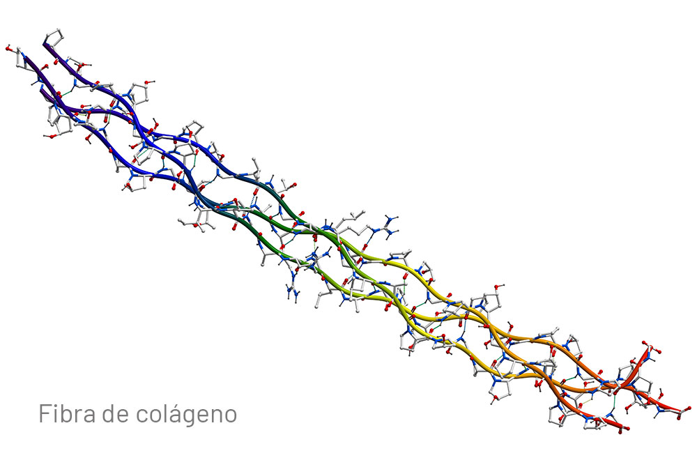 Bioestimuladores de colágeno